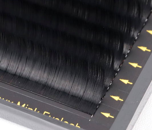 Lashprofessor Matte Black Lash Tray